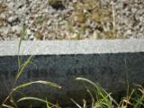 image of grave number 972943